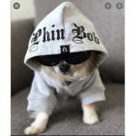 Gangster pups forever