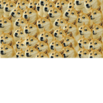 the um doge thingy