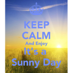 Sunny's Studios