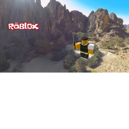 Desert fight!