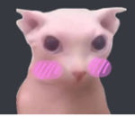 BingusFans