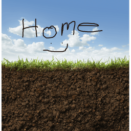 Worm Home
