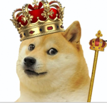 DOGE everywhere