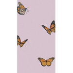The brilliant butterflies