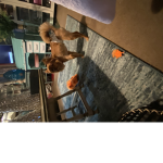 Giveaway Group For Robux LOL