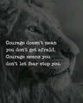 Shadow-lion Community