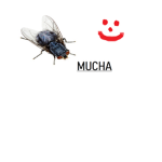 ziomy kalucha