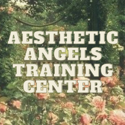 Aesthetic Angels Training Center! V2