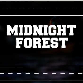  MidNight Forest