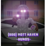 {800} MOT HAVEN (YGZ)