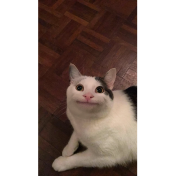 [ Content Deleted ]