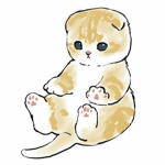 귀요미 그룹=>