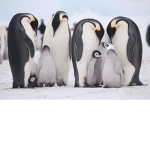 ••We help and support animals••