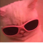 This is ur mom talking