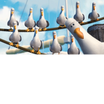 we love the birds
