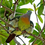 hi i love this gruop pls join