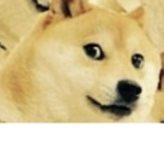 Jeffy ooooooooooo