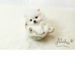 The Dog In The Cup