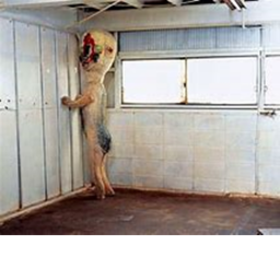 SCP