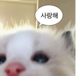 예원그룹 ;/