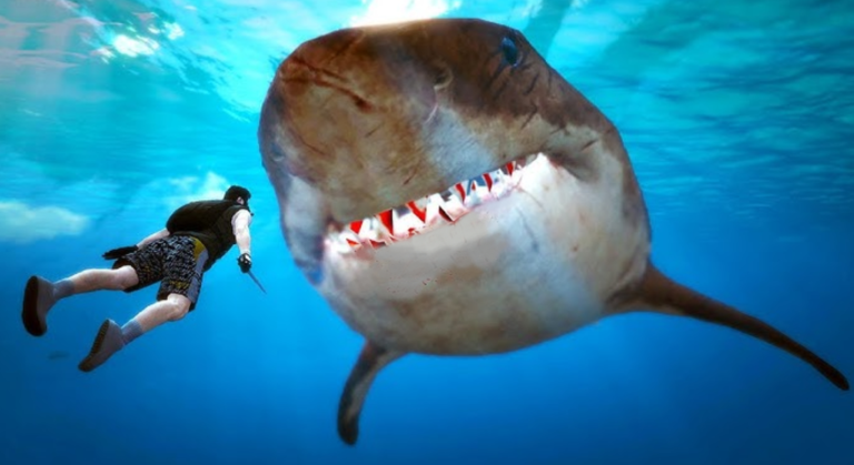 SCP Shark screenshot 1