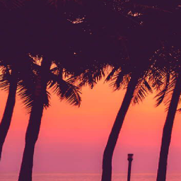 🌴