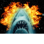 The Group Of FireSharks