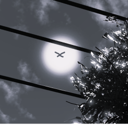 Escapism, to the sky