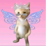 Cool_xz