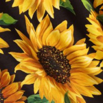 Sunflower fam. <3