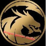 Dragons gaming army