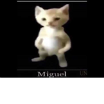 FOLLOWERS OF MIGUEL