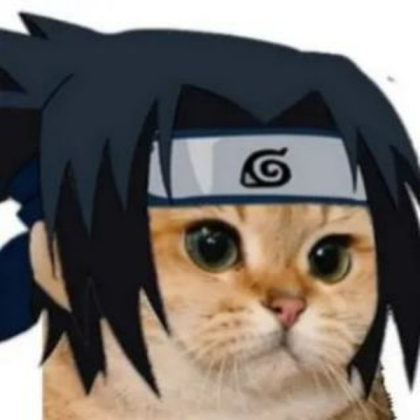 Sasuke the cat Roblox decal
