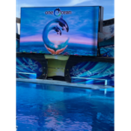 Orca world