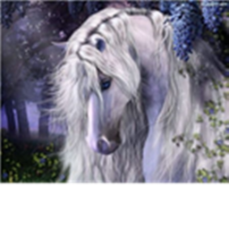 [NEW!] Horse world