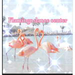 Flamigos Dance Center!