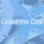 Celastrina Café