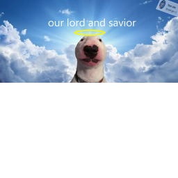 Walter worshippers IOFFICIAL GAME I