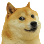 doge *woof*