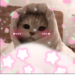 Kawwai anime group