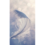 Clan Des Plume