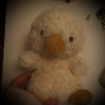 *+duck+*