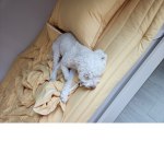 깡패즈