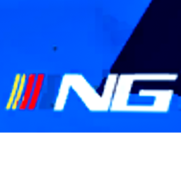 Nascar Gold Pre Release