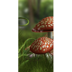 Mushrooms• cute mushrooms and frogs•