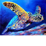Turtle Corporation
