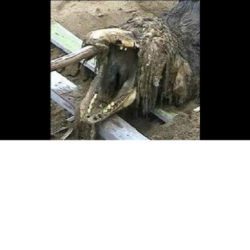 SCP-682 Demonstration
