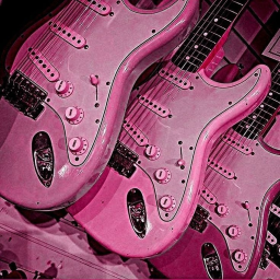 🎸