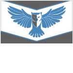 21st Reconnaissance Company