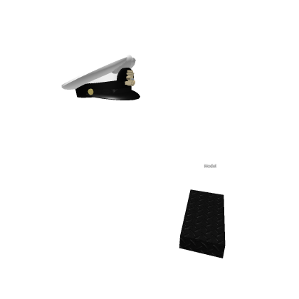 🌀 [*Working*] ✨ [New!] Navy hat!